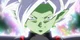 Fused Zamasu