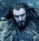 Thorin Oakenshield