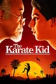 The Karate kid Rpg