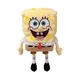 AN Spongebob