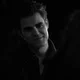 Stefan Salvatore