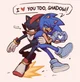 Shadow and Sonic 