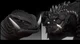 Gamera and Godzilla