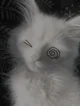TH3 DR0WN3D WARR10RZ