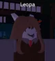 Leopa - DREAM GAME