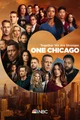 One Chicago Cast