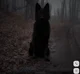 TH3 B1G GR0WL