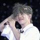 Scoups 