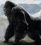 King Kong