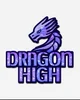 Dragon hybrid school