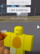 AGoldenEgg