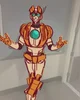 Rung IDW