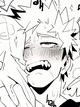 Katsuki Bakugou 
