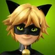 Chat Noir