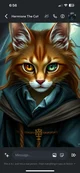 Hermione The Cat