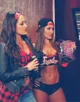 The Bella Twins