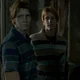 Weasley twins 