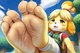 Hyper Isabelle feet