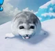 Be an silly seal
