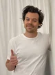 Harry styles-2024
