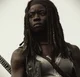 michonne hawthorne