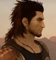 Gladiolus Amicitia