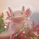 Axolotl