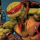 IDW TMNT