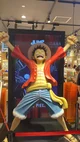 Luffy 