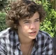 harry styles - nerd