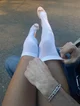 Ariana Delfeno 