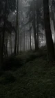 ET-HANSEL AND GRETEL
