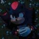 SHADOW T HEDGEHOG 