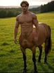 Centaur TF