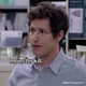 Jake Peralta