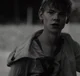 01 newt - tmr