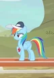 Rainbow Dash 