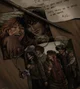 The marauders