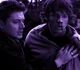 Winchester Brothers