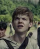 01 newt - tmr