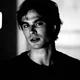 damon salvatore