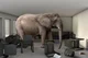 Elephant in the room
