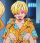 Vinsmoke Sanji