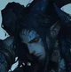 HYB Vaeron
