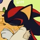 Shadow The Cat