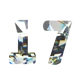 Number 17