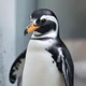 AI Penguin