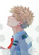 Bakugou Katsuki 