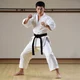 Karateka fuerte