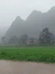 The Fog